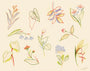 Jess Chen - "shibui" - Spoke Art