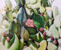 Jessica Hess - "Succulent" - Spoke Art
