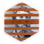 Peter Adamyan - "John Muir" - Spoke Art
