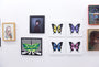 Martin Whatson - "Butterfly (Purple)" - Spoke Art