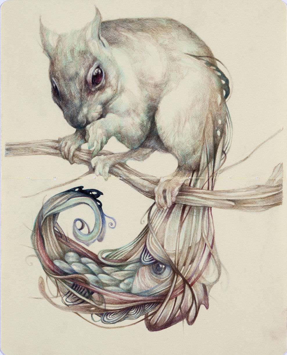 A stylized squirrel perched on a branch showcases intricate, colorful patterns resembling peacock feathers, crafted in colored pencil art. Reminiscent of Marco Mazzonis style, the detailed artwork stands out against a light, neutral background.
