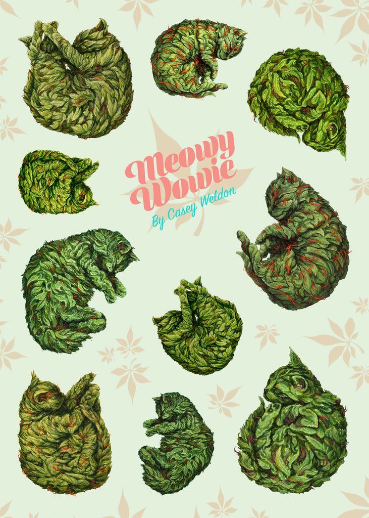 Casey Weldon - "Meowy Wowie Sticker Sheet" - Spoke Art