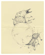 Nicomi Nix Turner - "Transitions of Magick & Undergrowth of Misfortune" - Spoke Art
