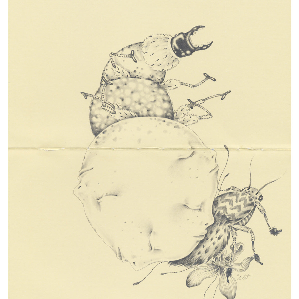 Nicomi Nix Turner - "Transitions of Magick & Undergrowth of Misfortune" - Spoke Art