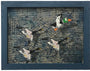 OakOak - "200 Years of Birds" - Spoke Art
