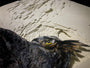 Brian Mashburn Owl ink gouache cut pages in Moleskine