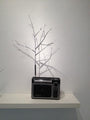 A small gray radio by Jeremiah Jenkins sits on a white shelf against a plain wall. A thin, bare branch with nodes extends from the top, casting intricate shadows and seamlessly blending mixed media elements for an evocative tableau.