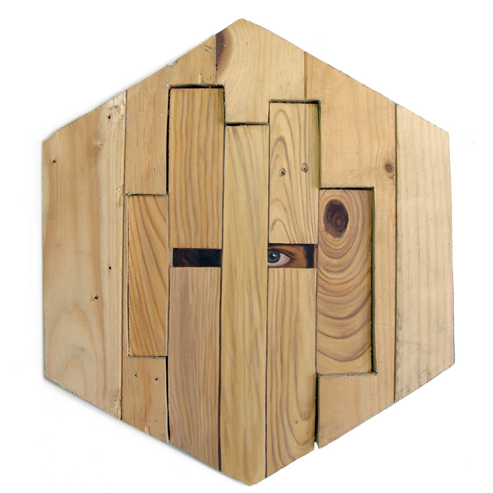 Peter Adamyan - "Camouflage Pine Boards" - Spoke Art