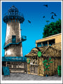 This limited edition features a coastal scene with a tall lighthouse and a Banana Shack offering tropical drinks. Birds soar in the clear blue sky above lush foliage, all depicted in Tim Doyles signature screenprint style.