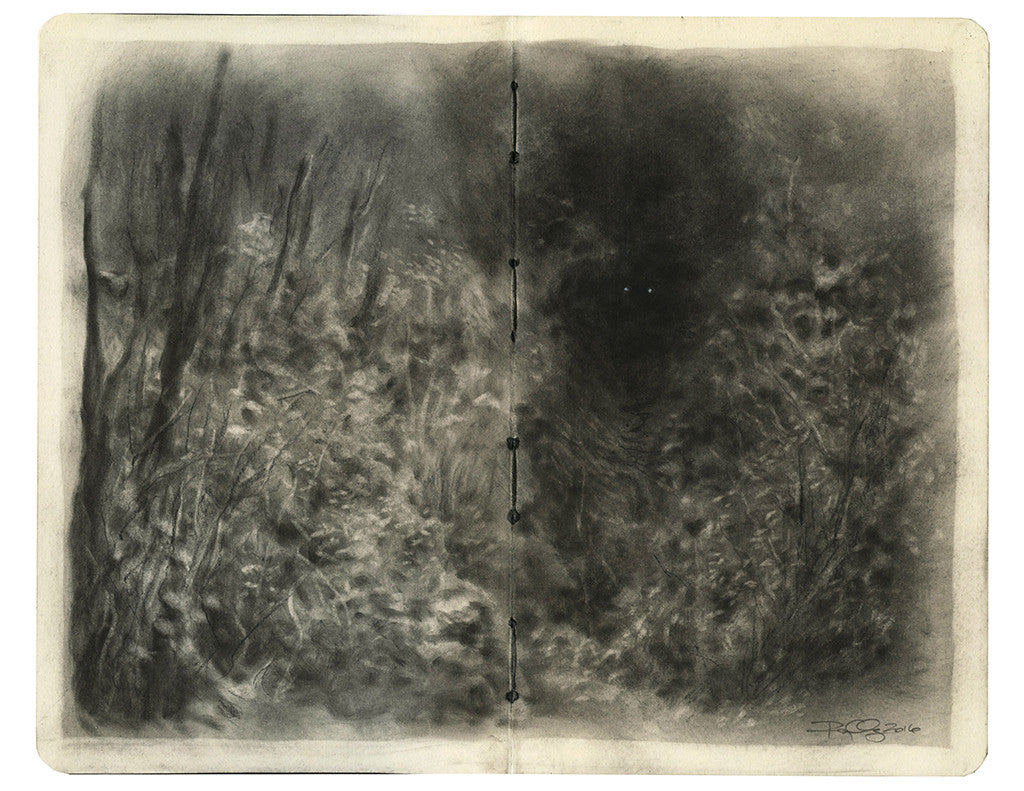 A grayscale sketch of an abstract, foggy landscape appears on a Moleskine exhibit, echoing Randy Ortizs style. Dense foliage and indistinct forms create a mysterious and ethereal atmosphere.