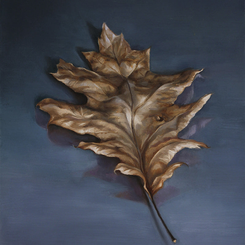 Ximena Rendon - "Fallen" - Spoke Art