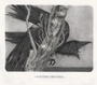 This João Ruas black and white artwork, using pencil on paper, depicts a surreal scene of a humanoid intertwined with branches and crow, wearing a headdress. Displayed in an art gallery, it features the words Um Destino, Uma Farsa.
