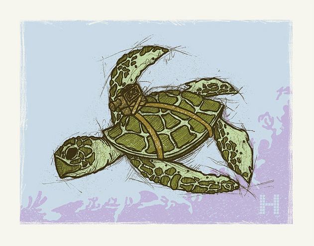 Clint Wilson - "Research Turtle" - Spoke Art