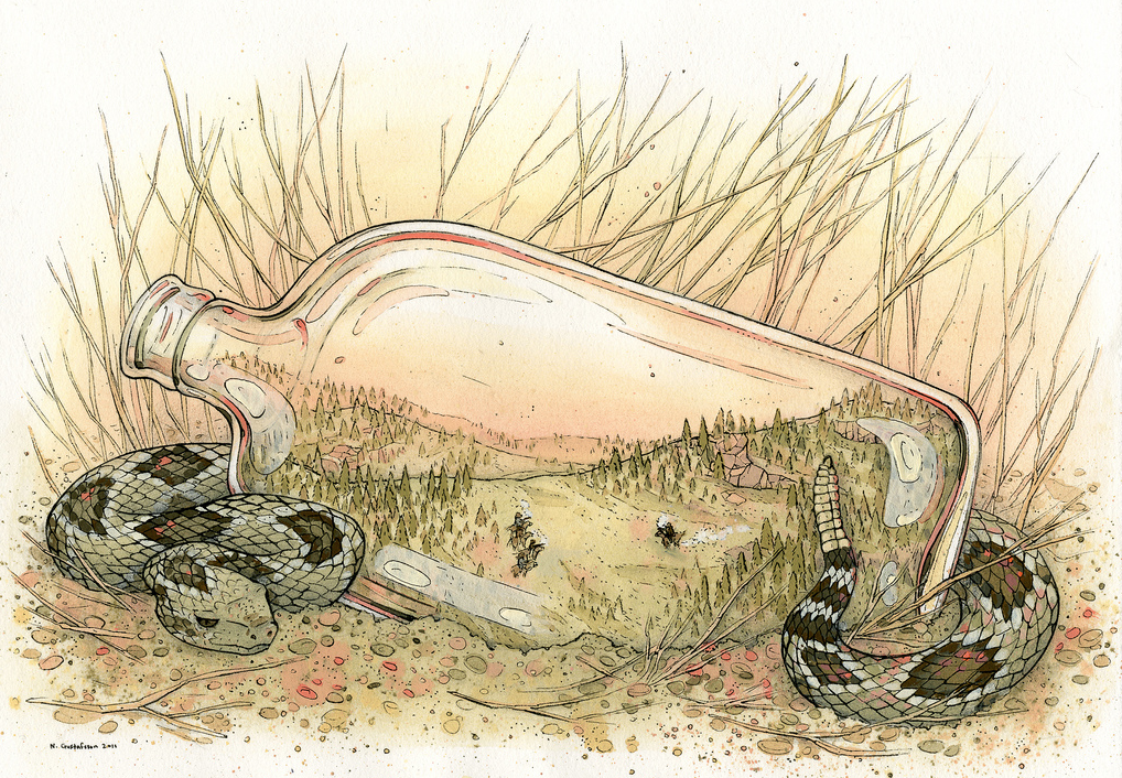 A curled snake lies next to a transparent glass bottle resembling a terrarium, reflecting trees and hills, with an earthy backdrop of tall, dry grass. Crafted using gouache and ink techniques, this scene showcases the enchanting artistry of Nicole Gustafsson.