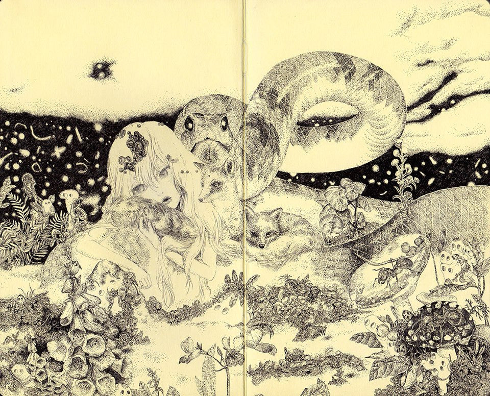 So Youn Lee - "Down Under" - Spoke Art