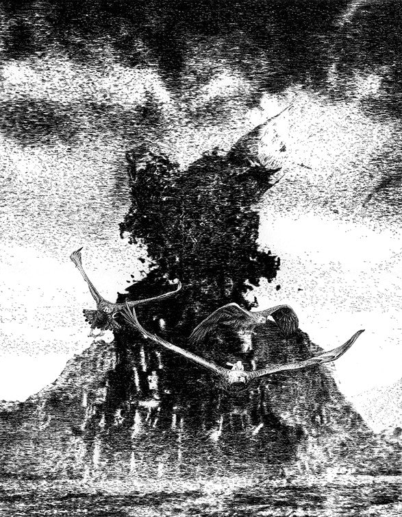 A Stuart Whitton masterpiece, this black and white illustration captures a volcano erupting with dark smoke, reminiscent of The Fall of Sauron. With two birds soaring over the ocean, it’s a dramatic piece worthy of display at Spoke Art Gallery.
