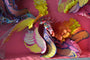 Abstract paper art by Crystal Wagner showcases vibrant, cut paper layers resembling feathers and petals in pink, yellow, orange, and blue on a hot pink background.