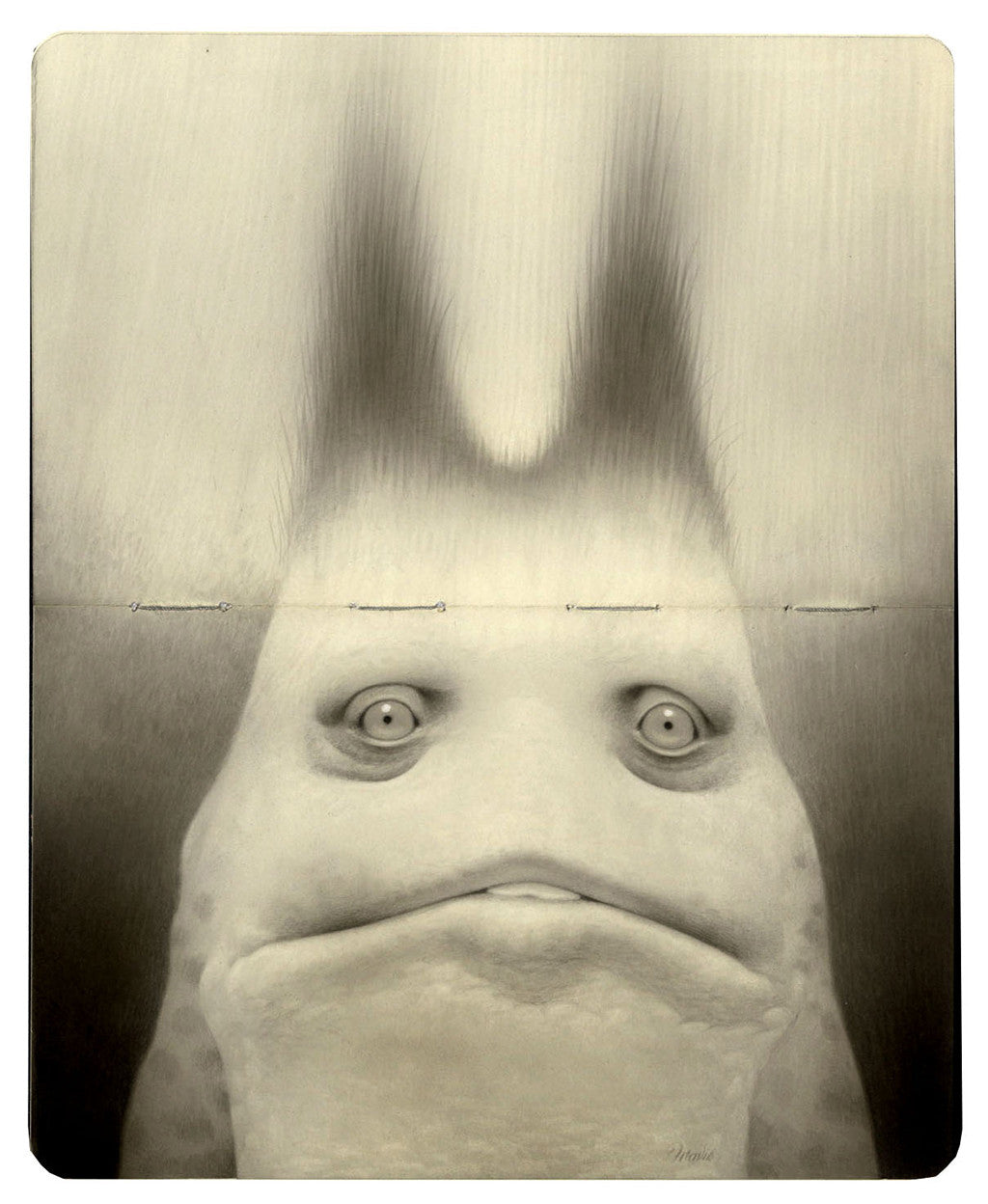 Travis Louie - "Amphibian" - Spoke Art