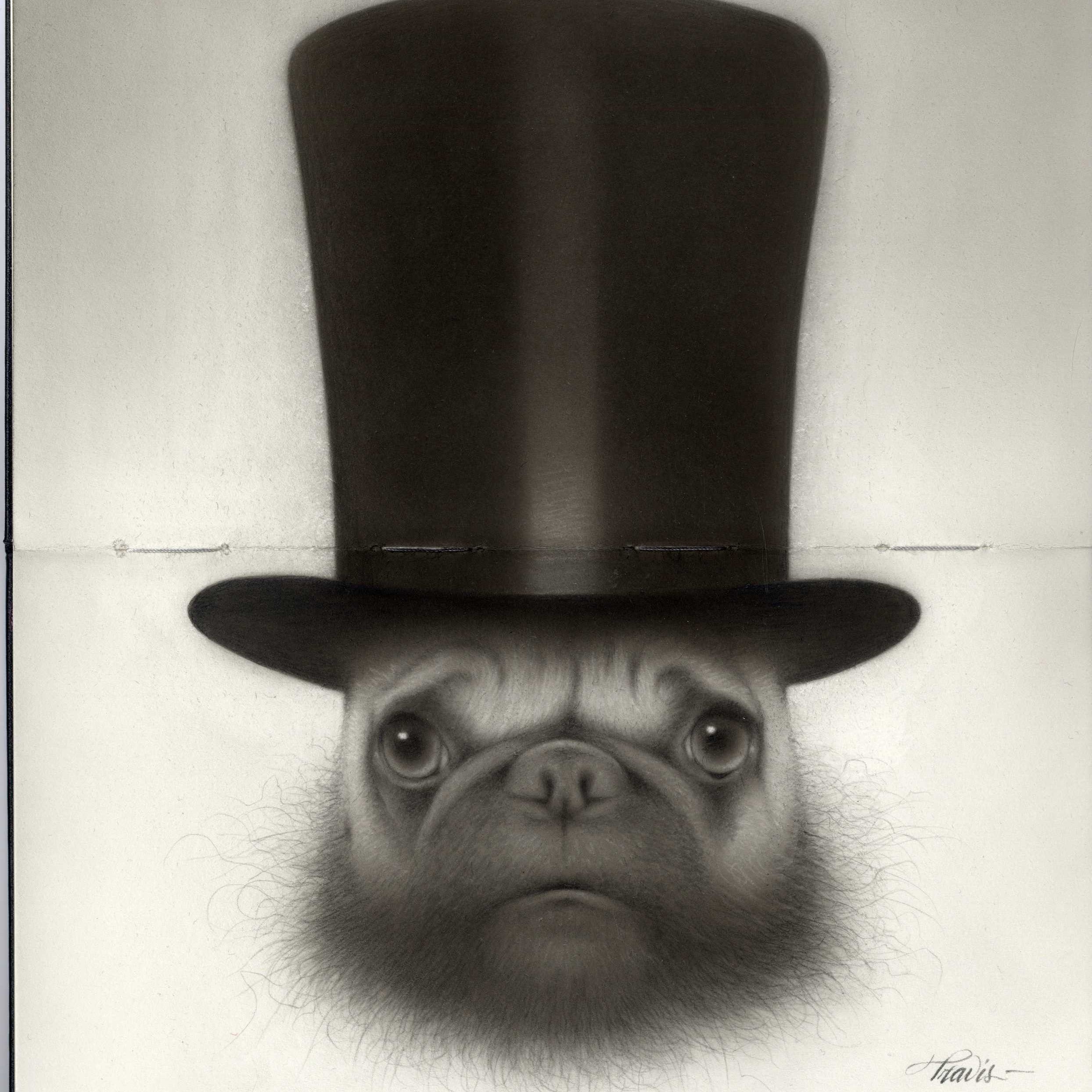 Travis Louie - "Top Hat Pug" - Spoke Art