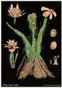 Max Dalton - "The Day of the Triffid" - Spoke Art