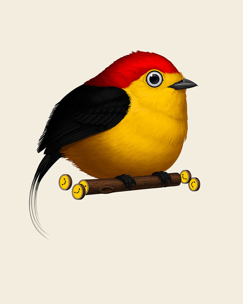 Mike Mitchell - "Wire-tailed Manakin" - Spoke Art