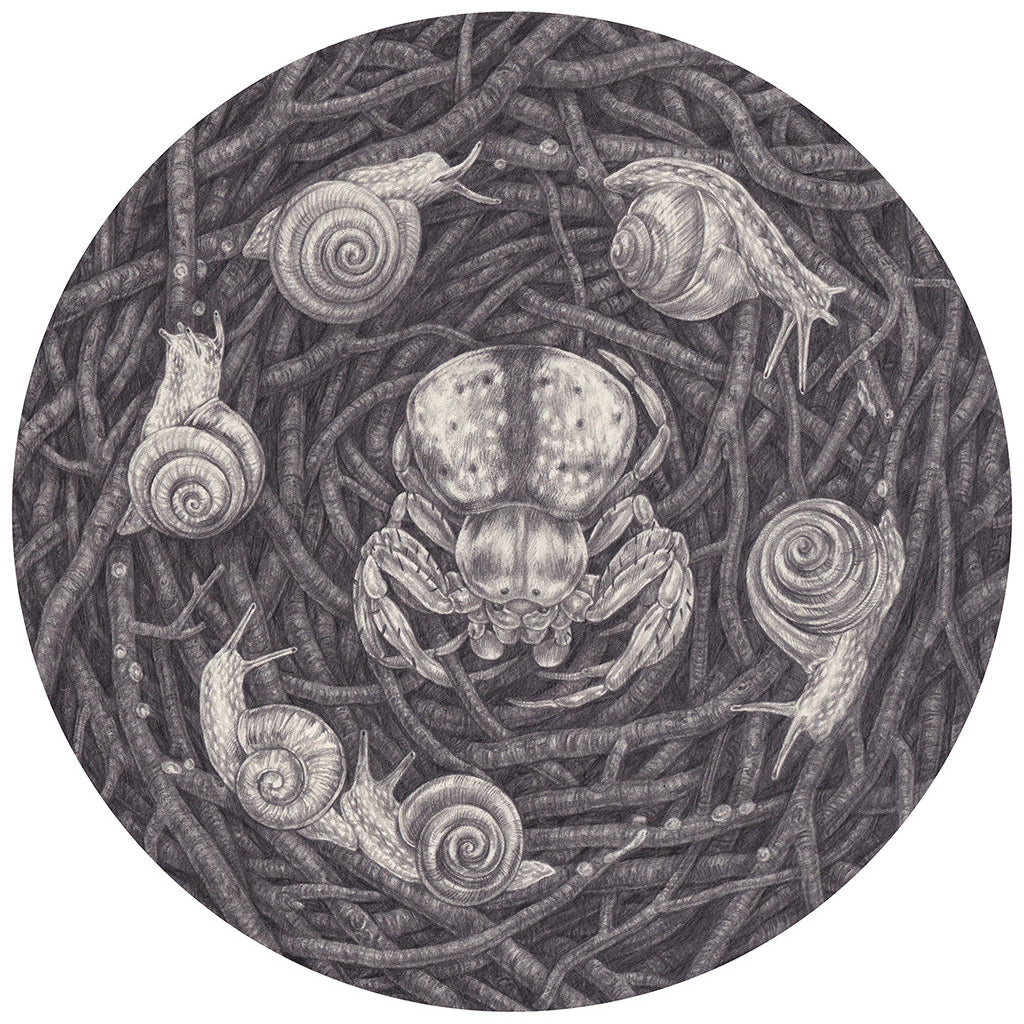 Zoe Keller - "Snail Ritual" - Spoke Art