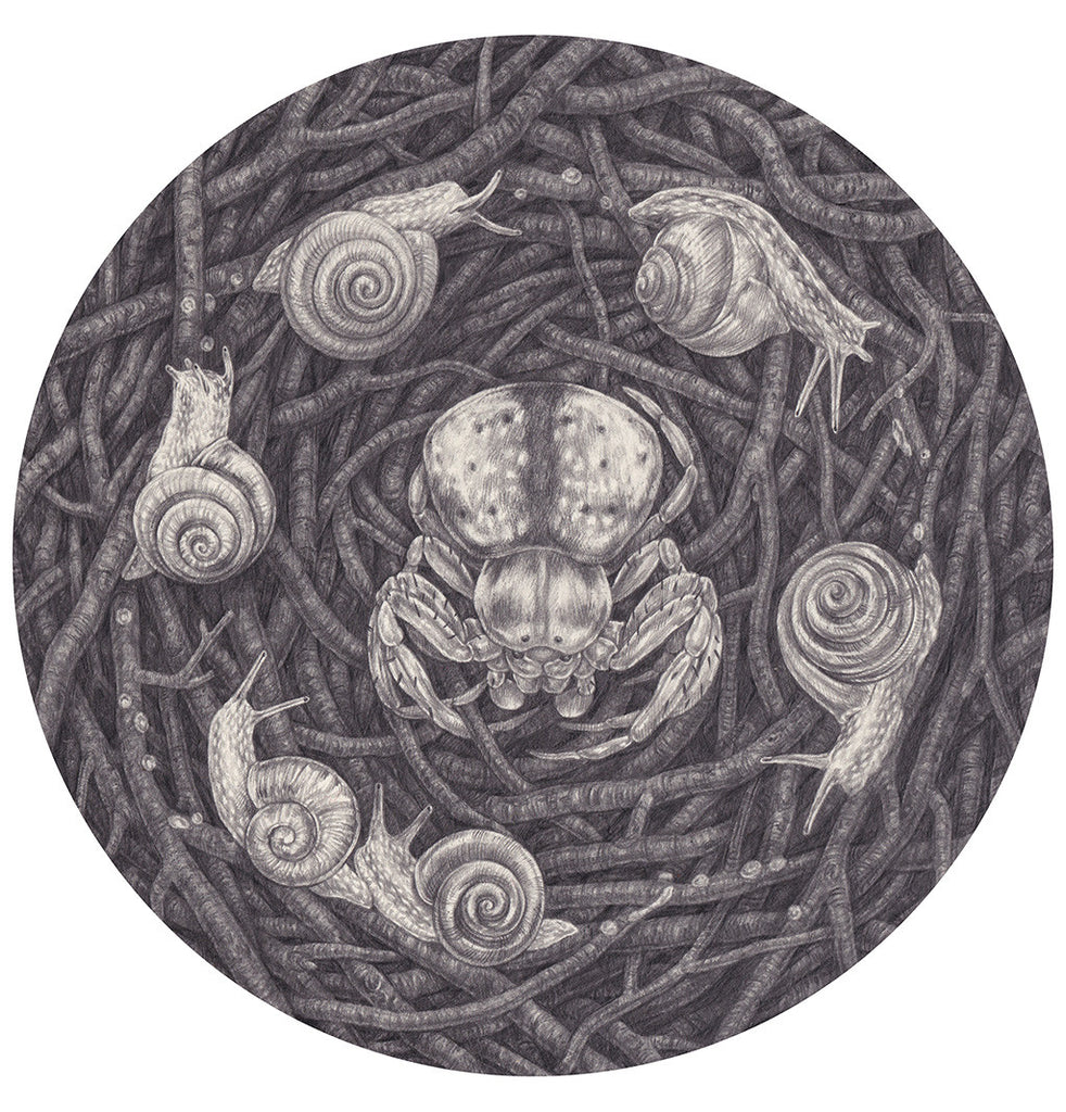 Zoe Keller - "Snail Ritual" - Spoke Art